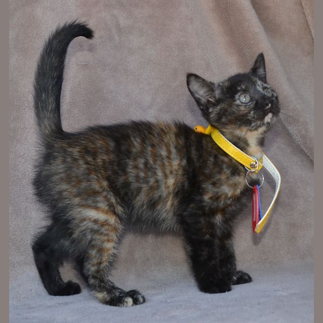 Photo of Chloe