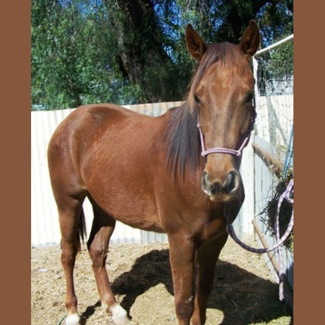 Photo of Bobbi