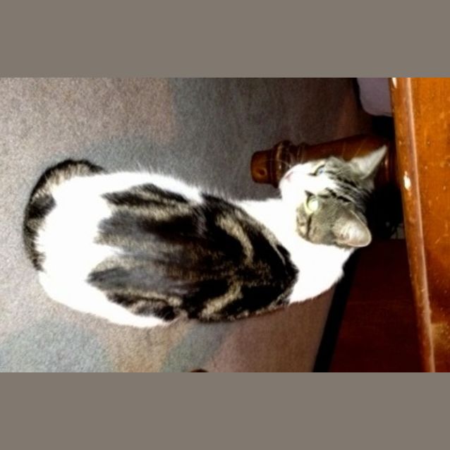 Photo of Sam