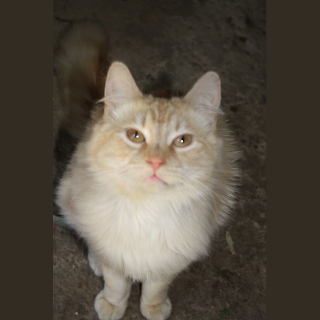 Photo of Jinx
