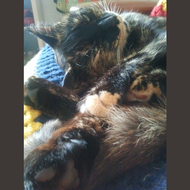 Photo of Puzzle