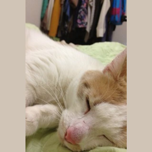 Photo of Jaffa