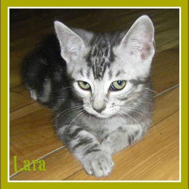 Photo of Lara