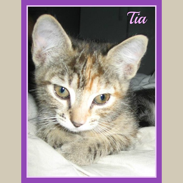 Photo of Tia
