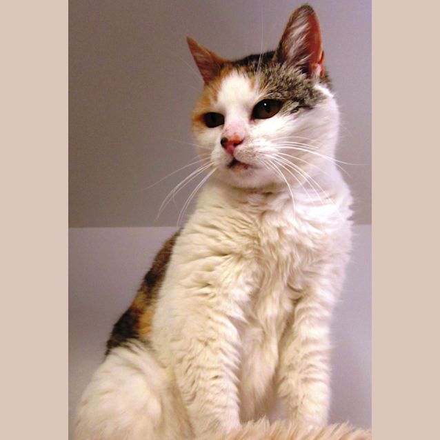 Photo of Molly