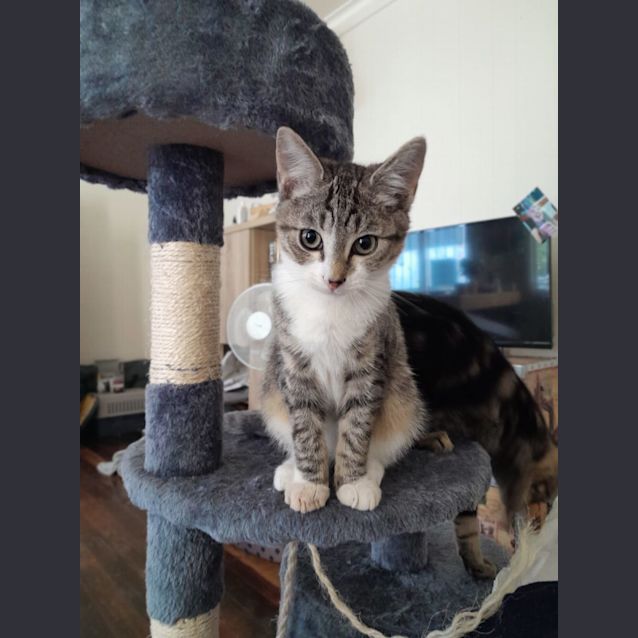Photo of Jet