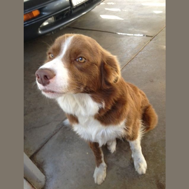 Photo of Marlee