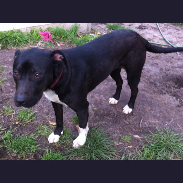 Photo of Roxy