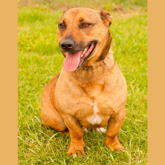 Photo of Tucker Id9236