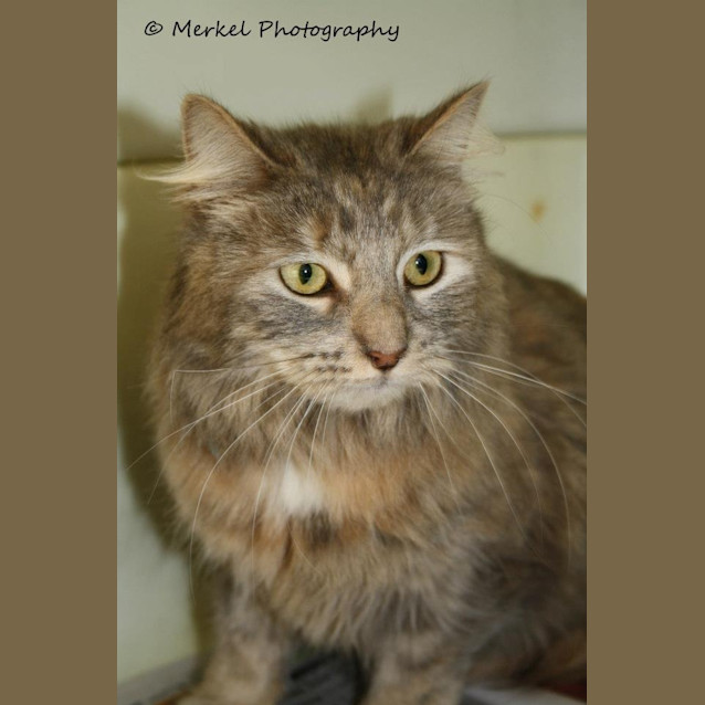 Photo of Fi Fi