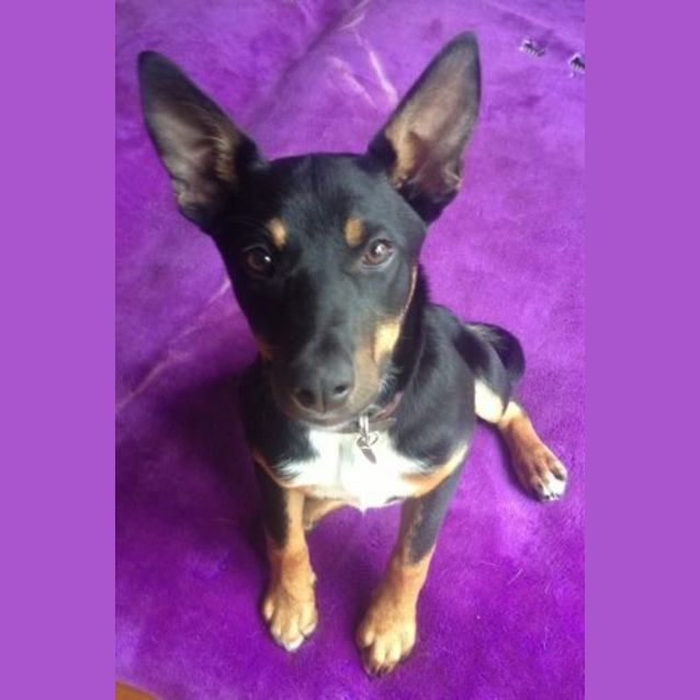 Photo of Missy