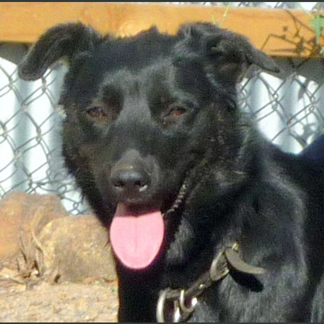 Photo of Dolly
