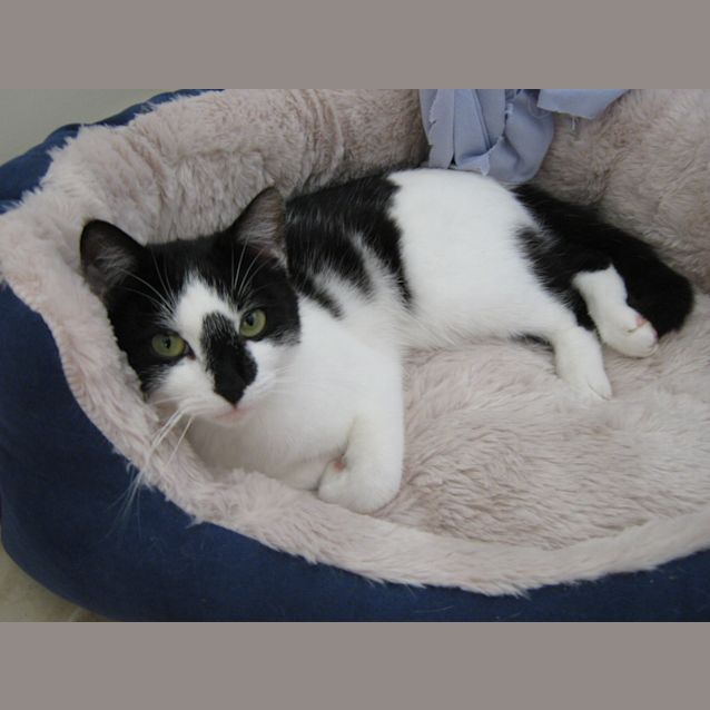 Photo of Isabella
