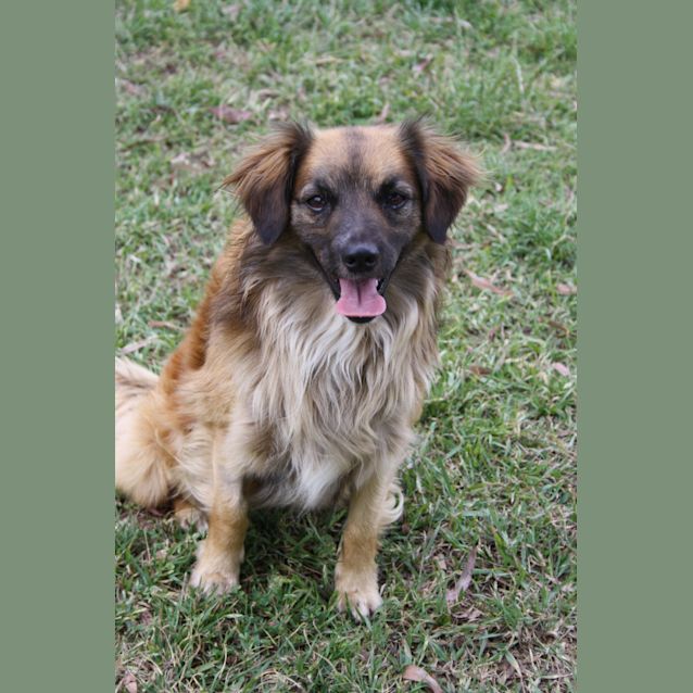 Photo of Roscoe