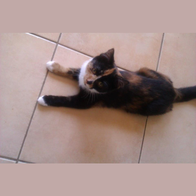 Photo of Titch