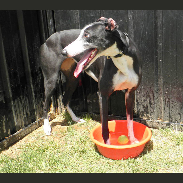 Photo of Olivia   Checking Out My New Home