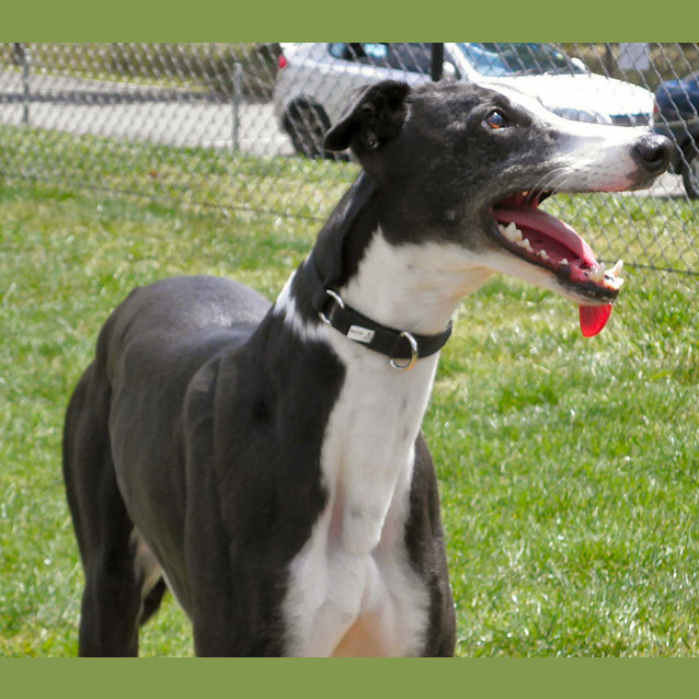 Photo of Olivia   Checking Out My New Home