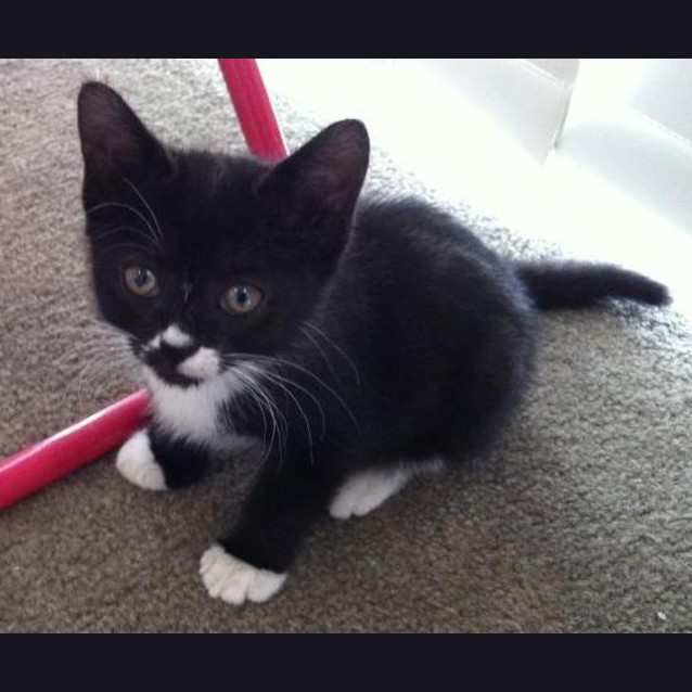Photo of Tabitha