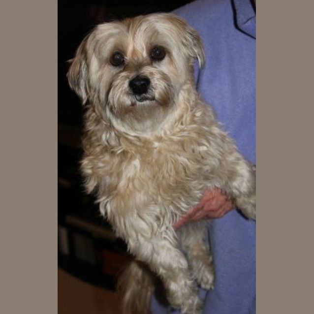 Photo of Misty