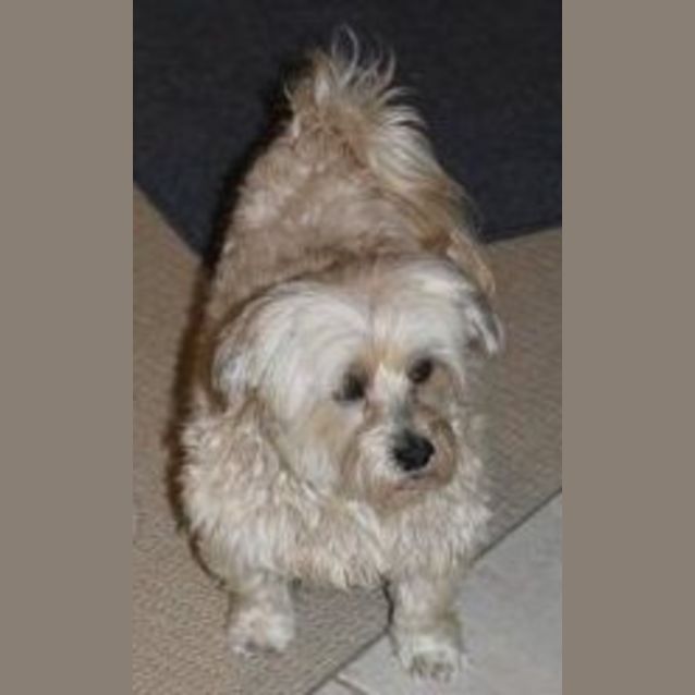Photo of Misty