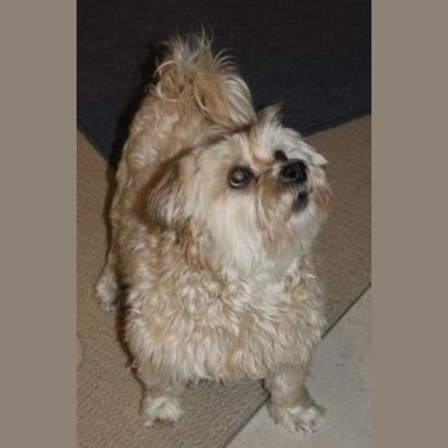Photo of Misty