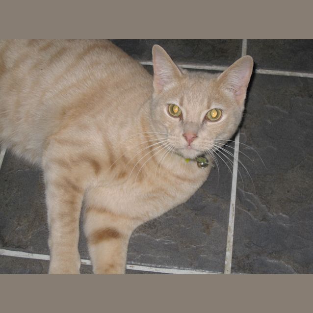 Photo of Moet