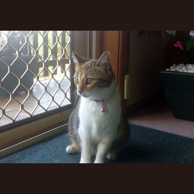 Photo of Miah