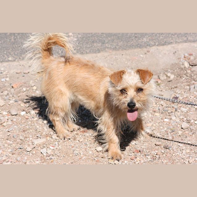 Photo of Tilly