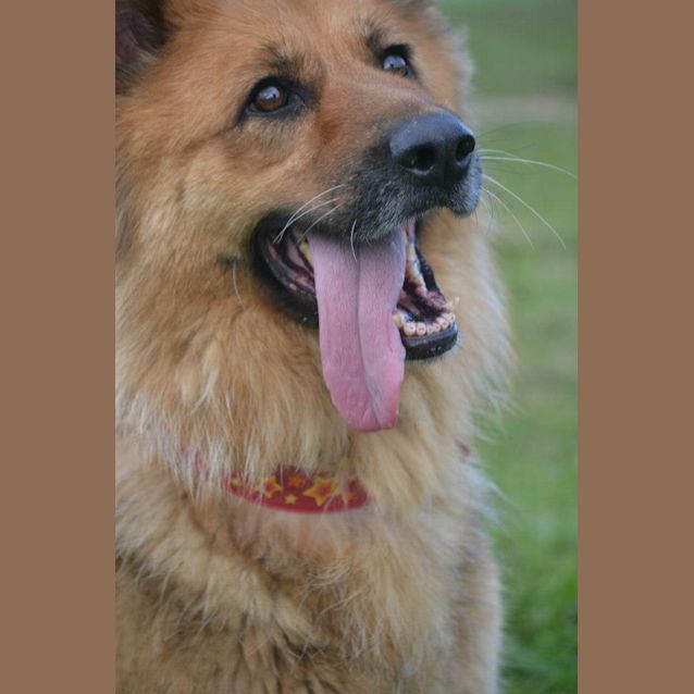 Photo of Annabelle