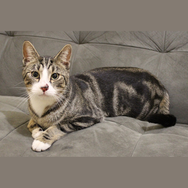 Photo of Jasper