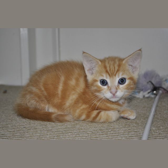 Photo of Tom
