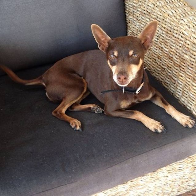 Photo of Jazz