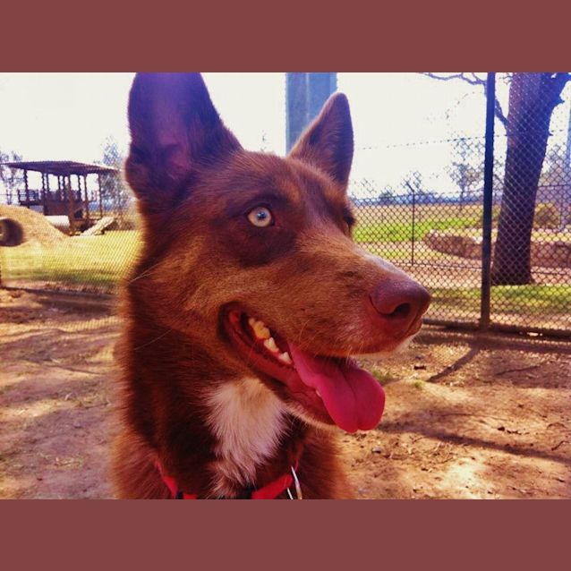 Photo of Ruby