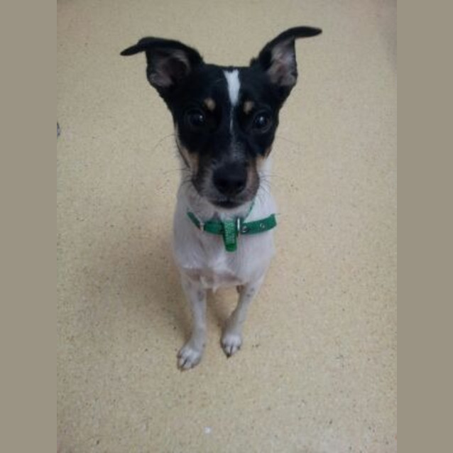 Photo of Buster