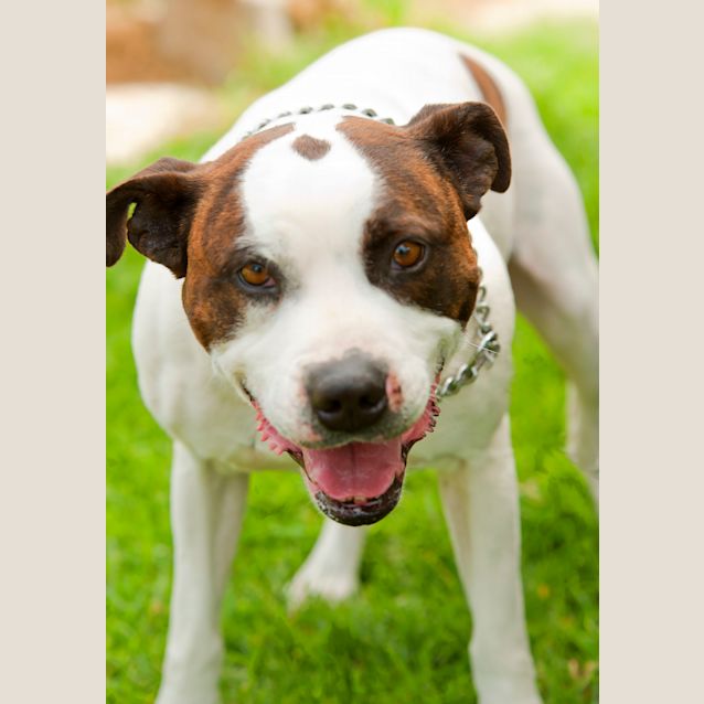 Photo of Rory Id9541