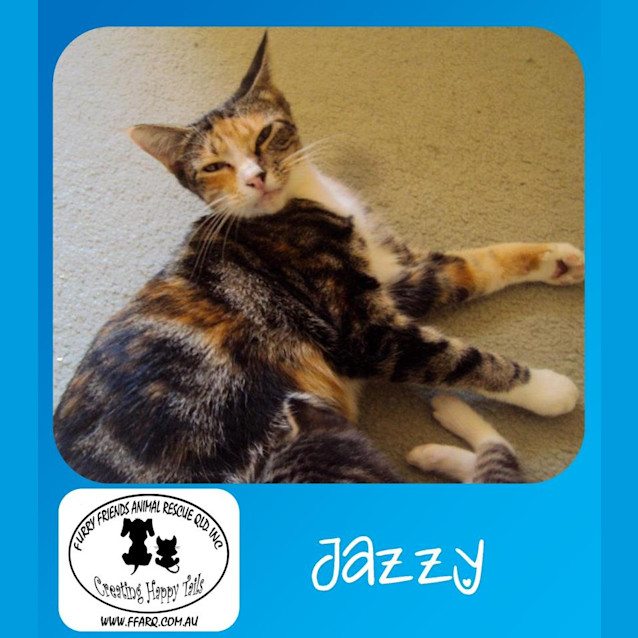 Photo of Jazzy