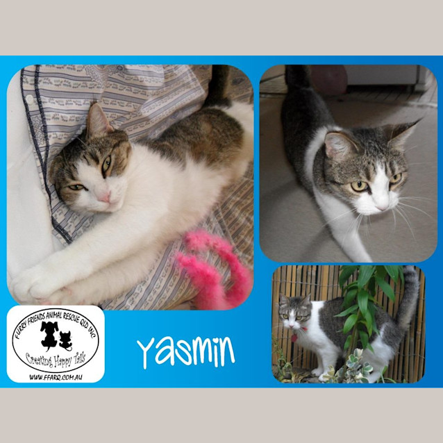 Photo of Yasmin