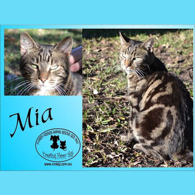 Photo of Mia
