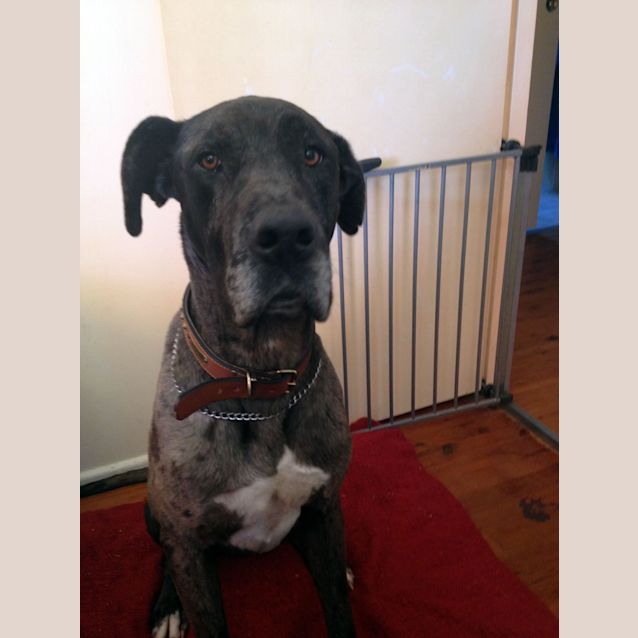 Photo of Ted
