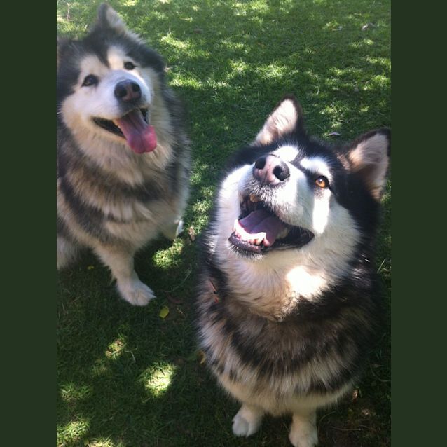 Photo of Quattro And Teyha