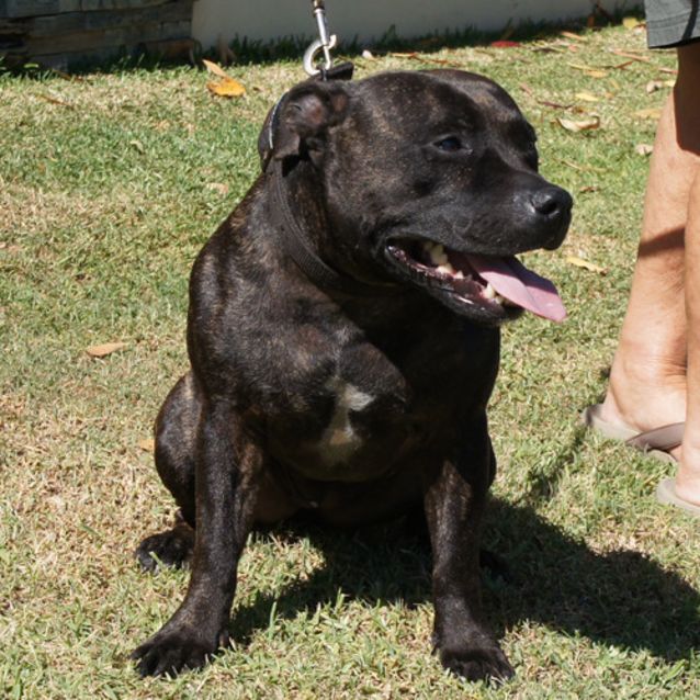 Photo of Jessie