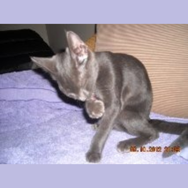 Photo of Chris
