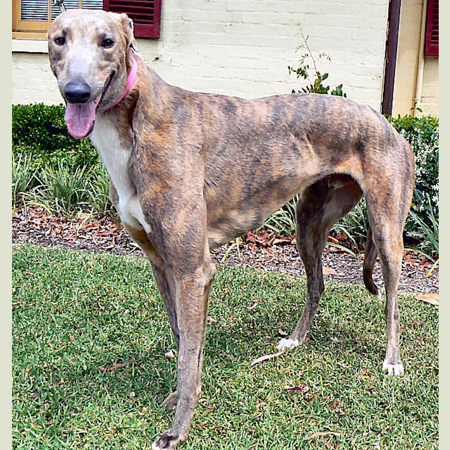 Photo of Darcy   Checking Out My New Home