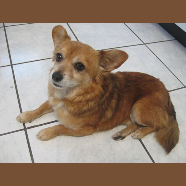 Photo of Kobi