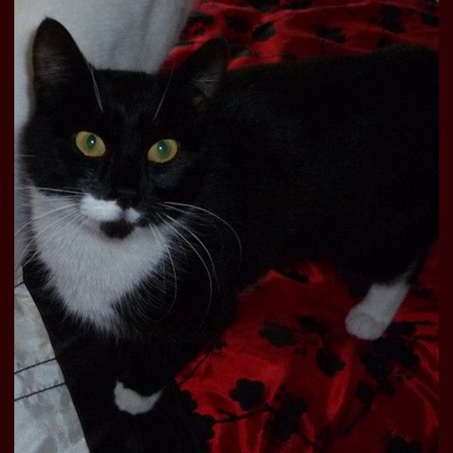 Photo of Maggie