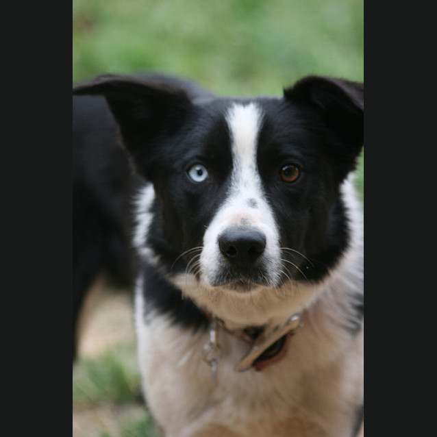 Photo of Jack
