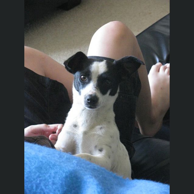 Photo of Missy