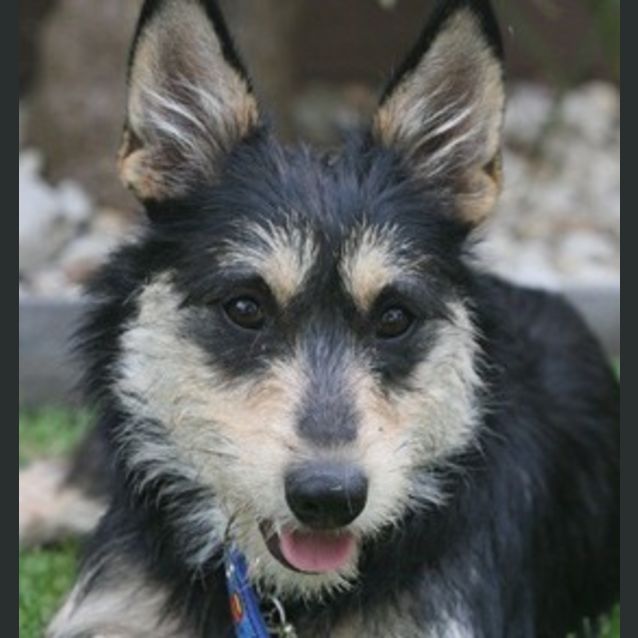 Photo of Winsey