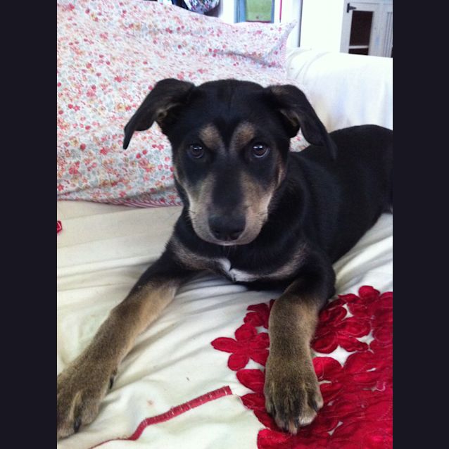 Photo of Nina