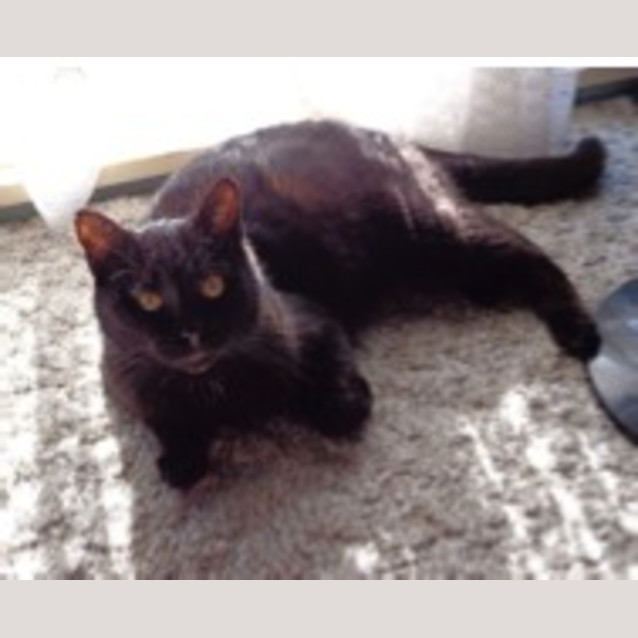 Photo of Salem